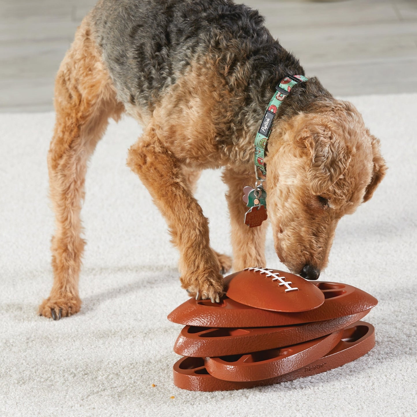 Brightkins™ Football Treat Puzzle