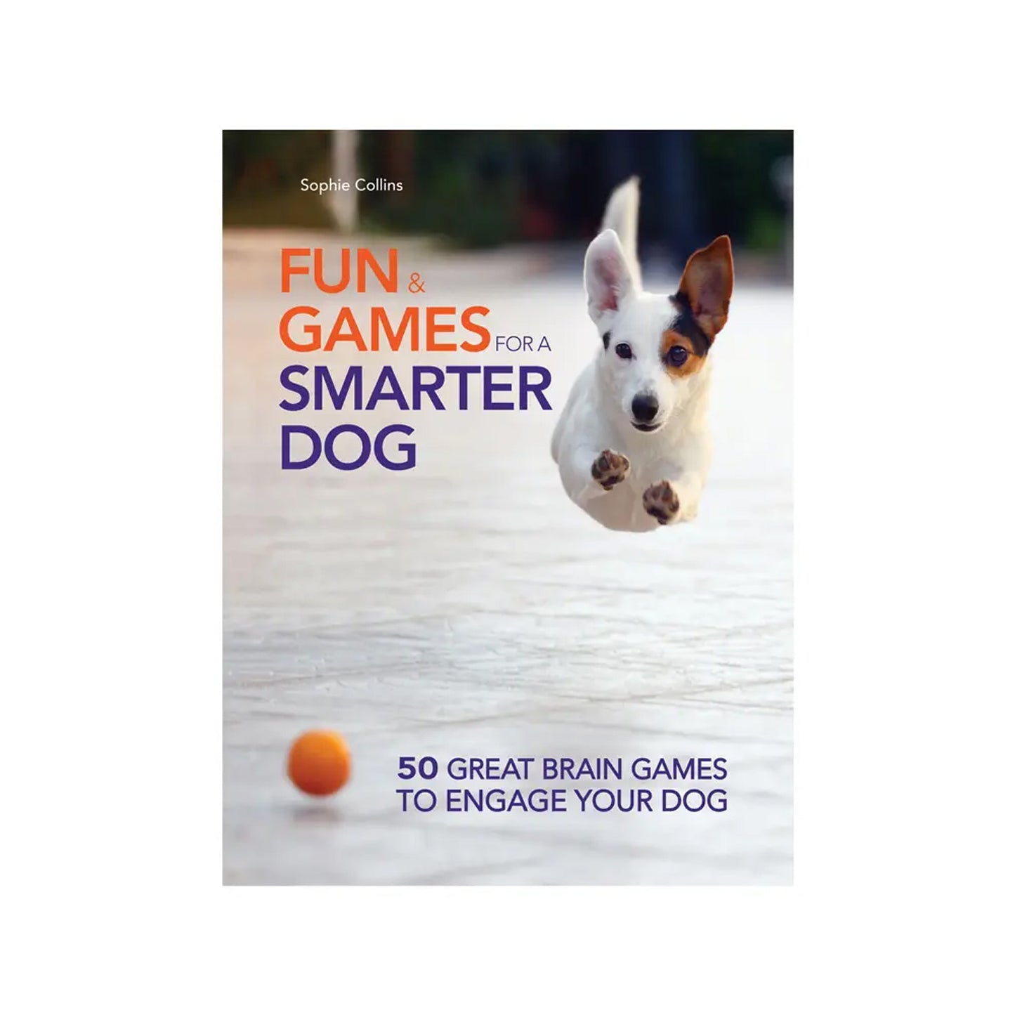 Fun & Games for a Smarter Dog Book