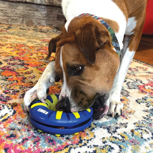 Kong® Goodiez™ Ring Dog Enrichment Toy Medium