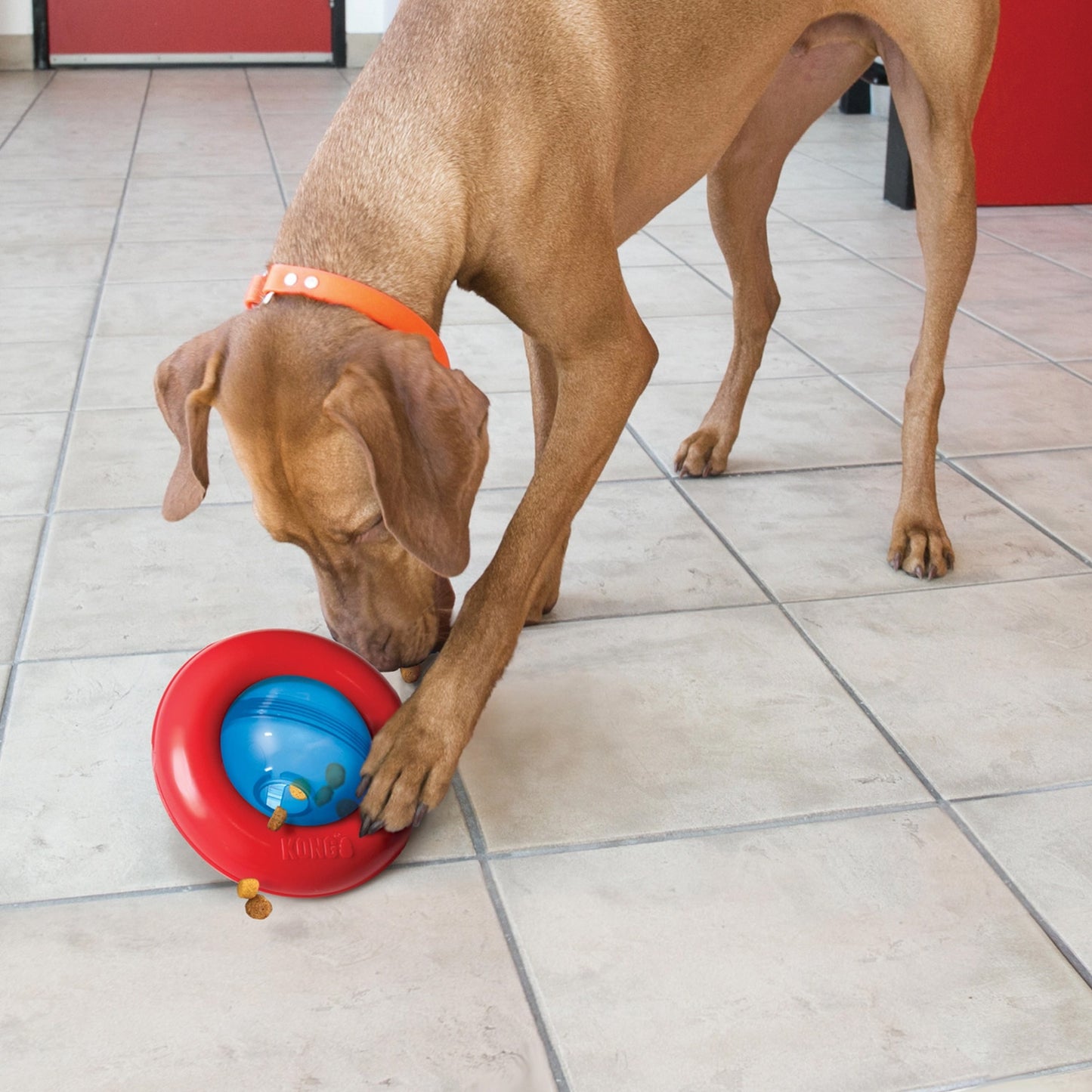 Kong® Gyro Dog Enrichment Toy