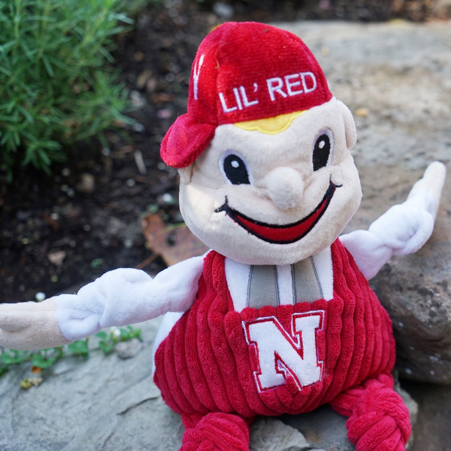 Lil Red Knottie® Nebraska Plush Dog Toy