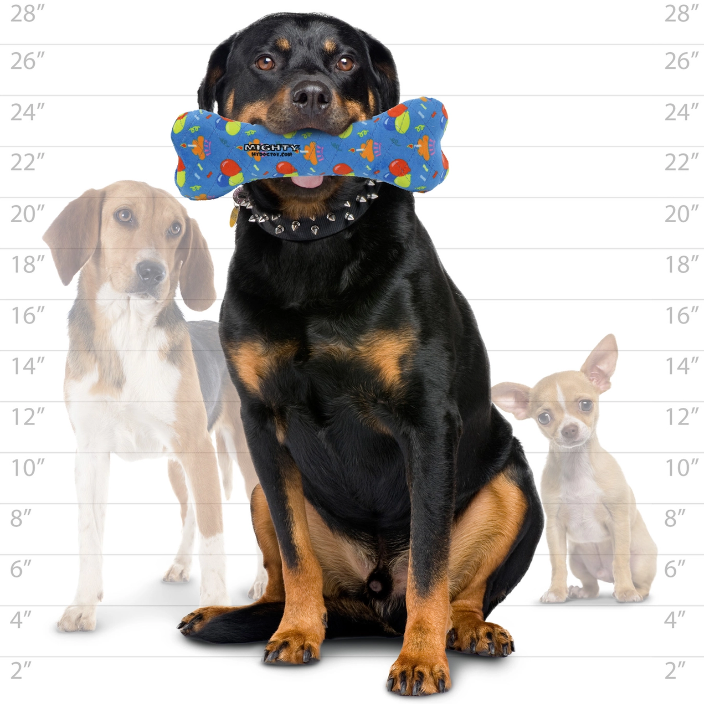 Tuffy Mighty Bone-Celebration Toy