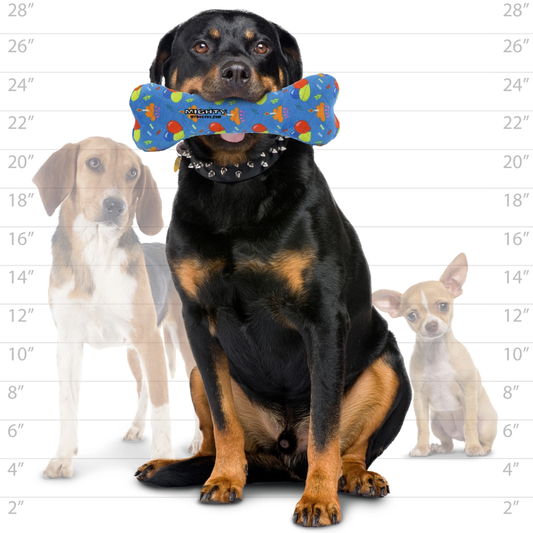 Tuffy Mighty Bone-Celebration Toy