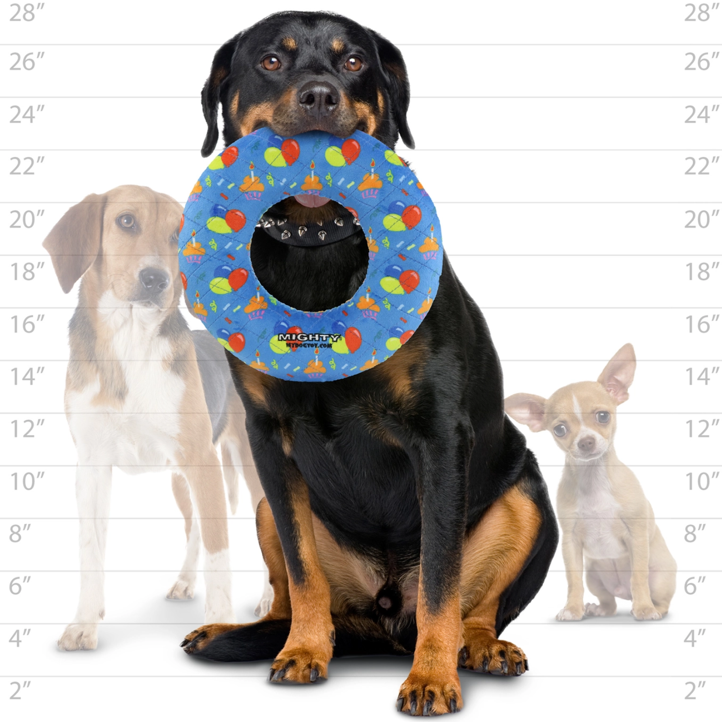 Tuffy Mighty Ring-Celebration Toy
