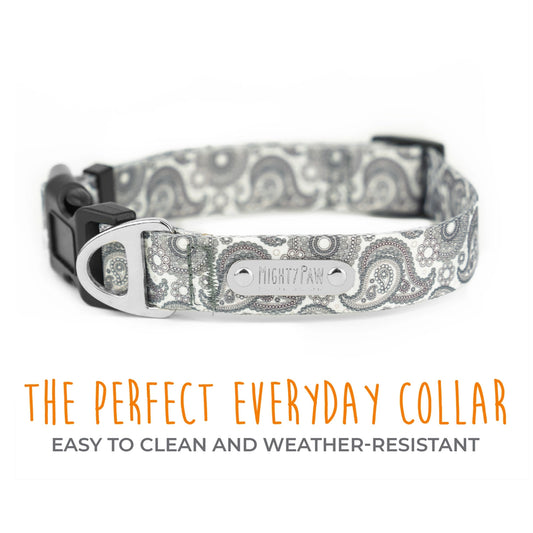 Mighty Paw Designer Paisley Collar