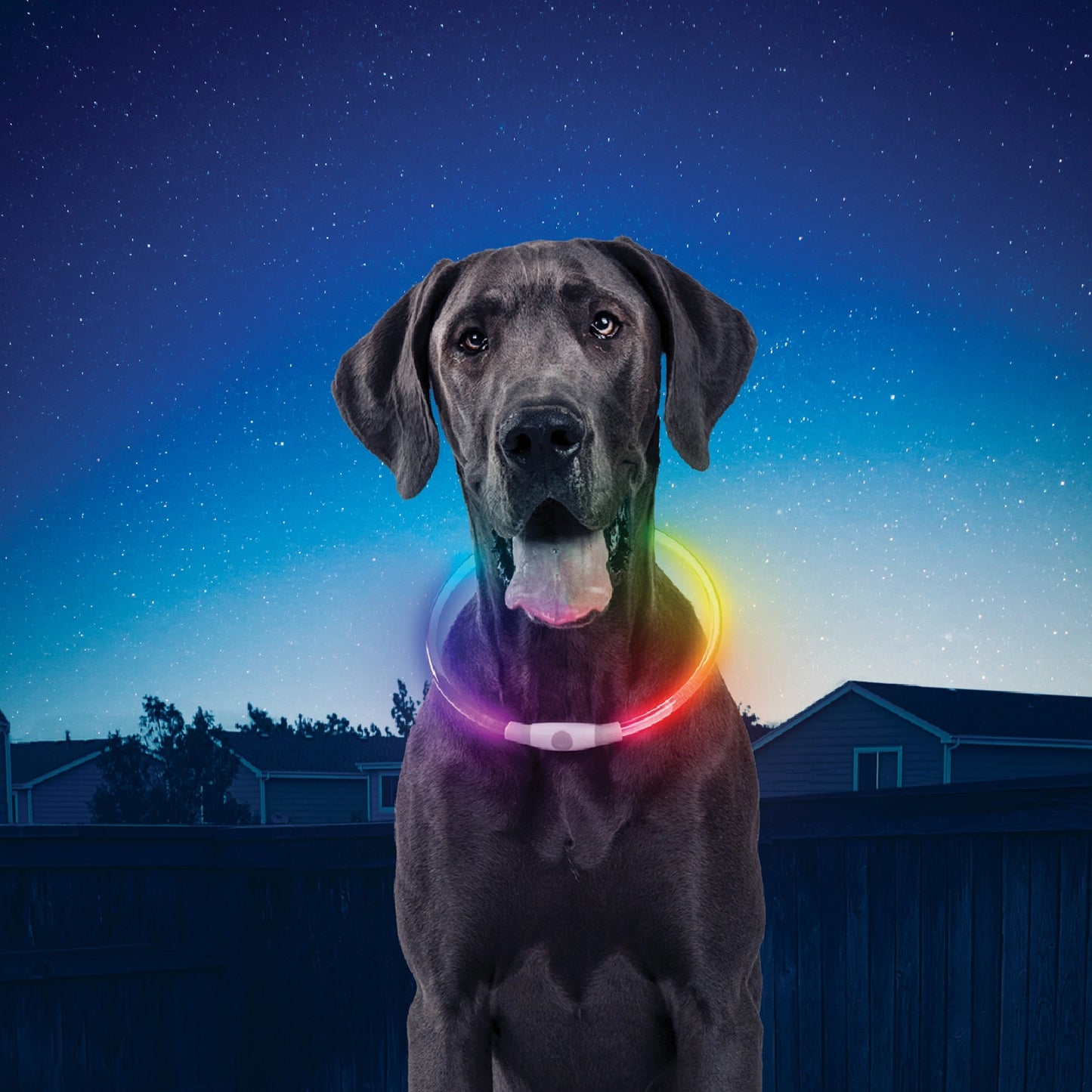 NiteHowl Rechargeable LED Safety Necklace