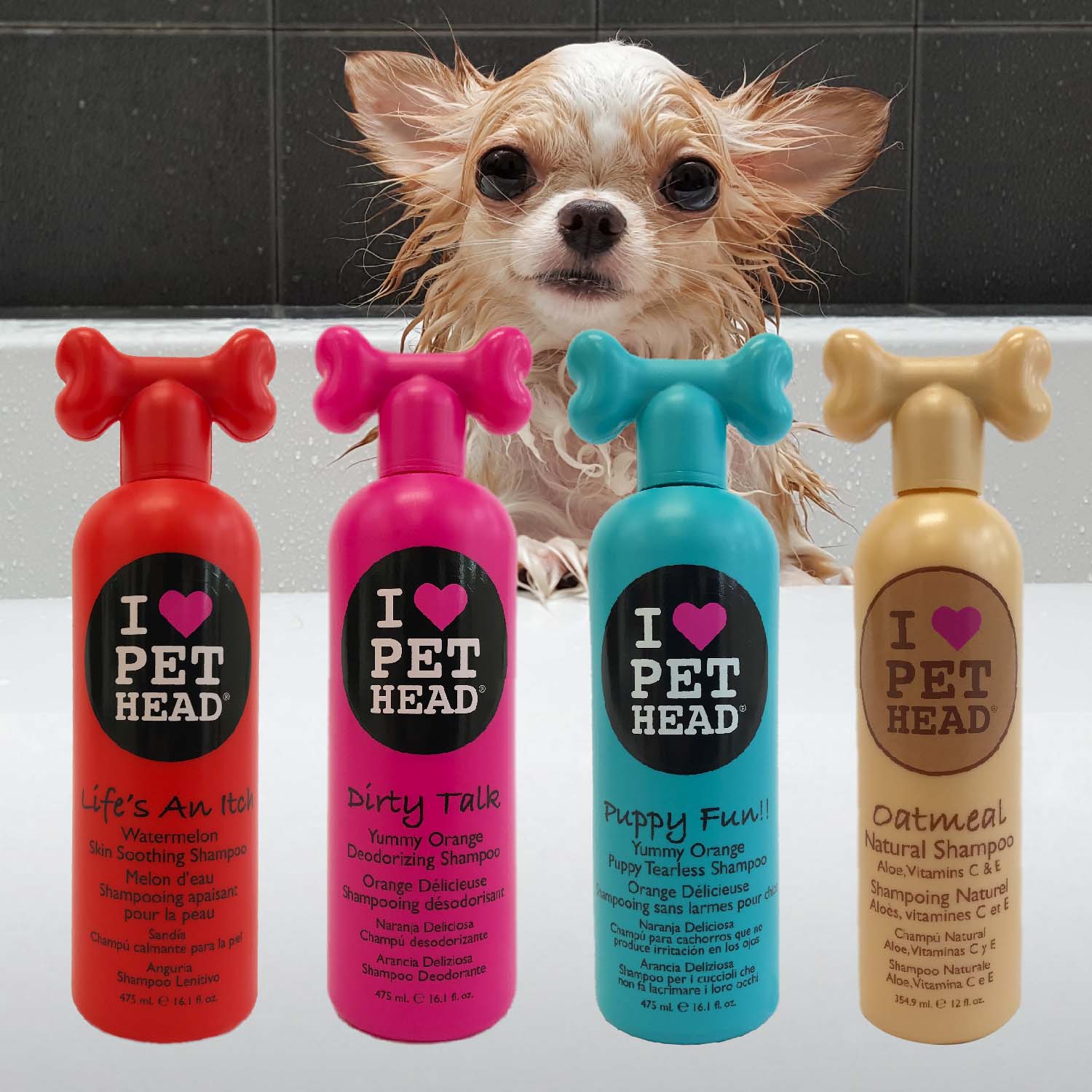A closer look at Most Effective Human Shampoo For Old Dogs