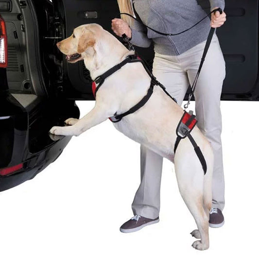 CareLift Full Body Harness