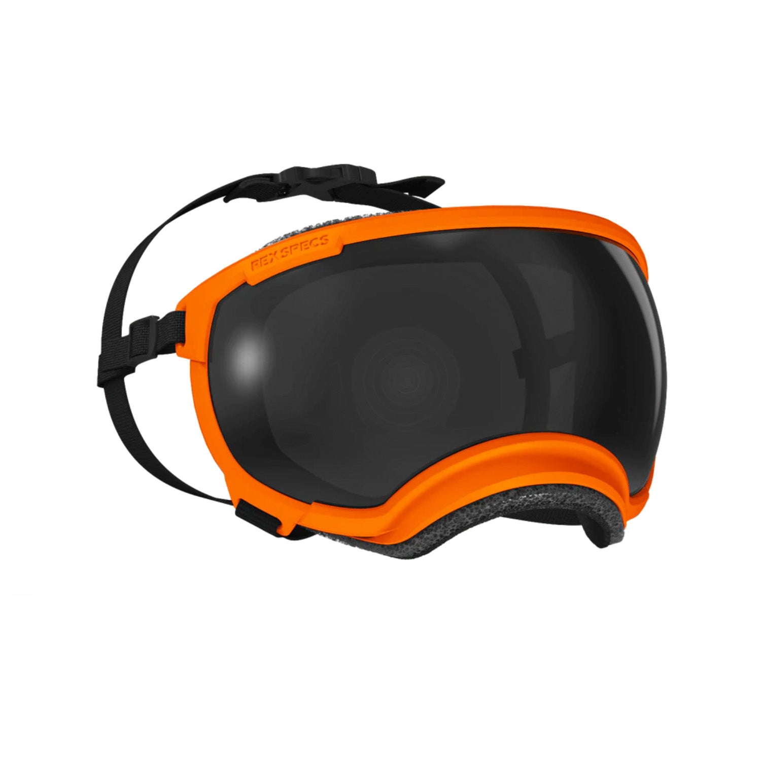 Rex Specs Goggles for Dogs V2 – Hiking Dog Co