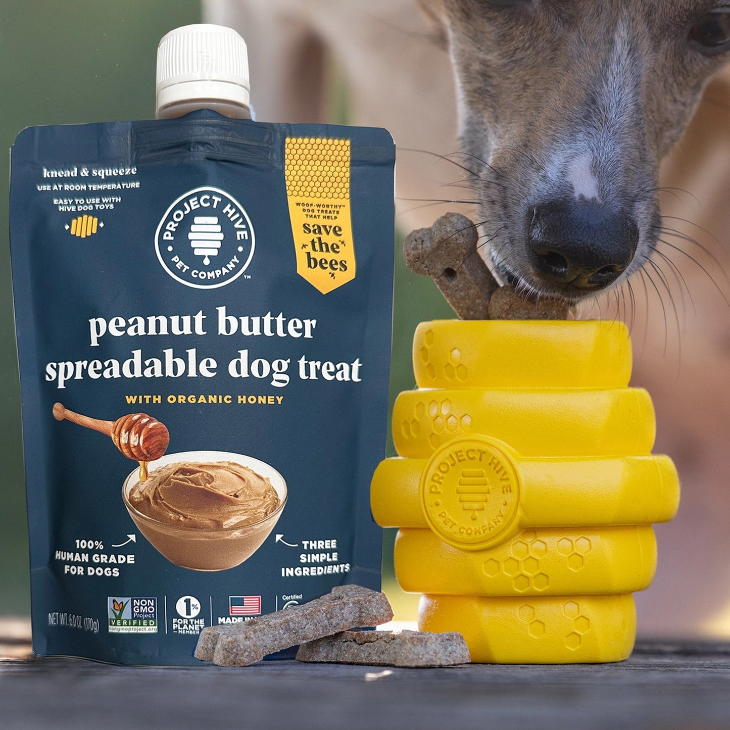 Project Hive Peanut Butter Spreadable Dog Treat