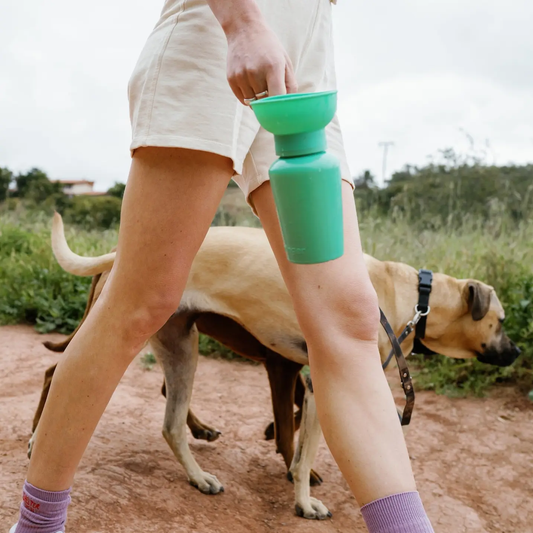 Dog Travel Water Bottle, 20oz, Flip Silicone