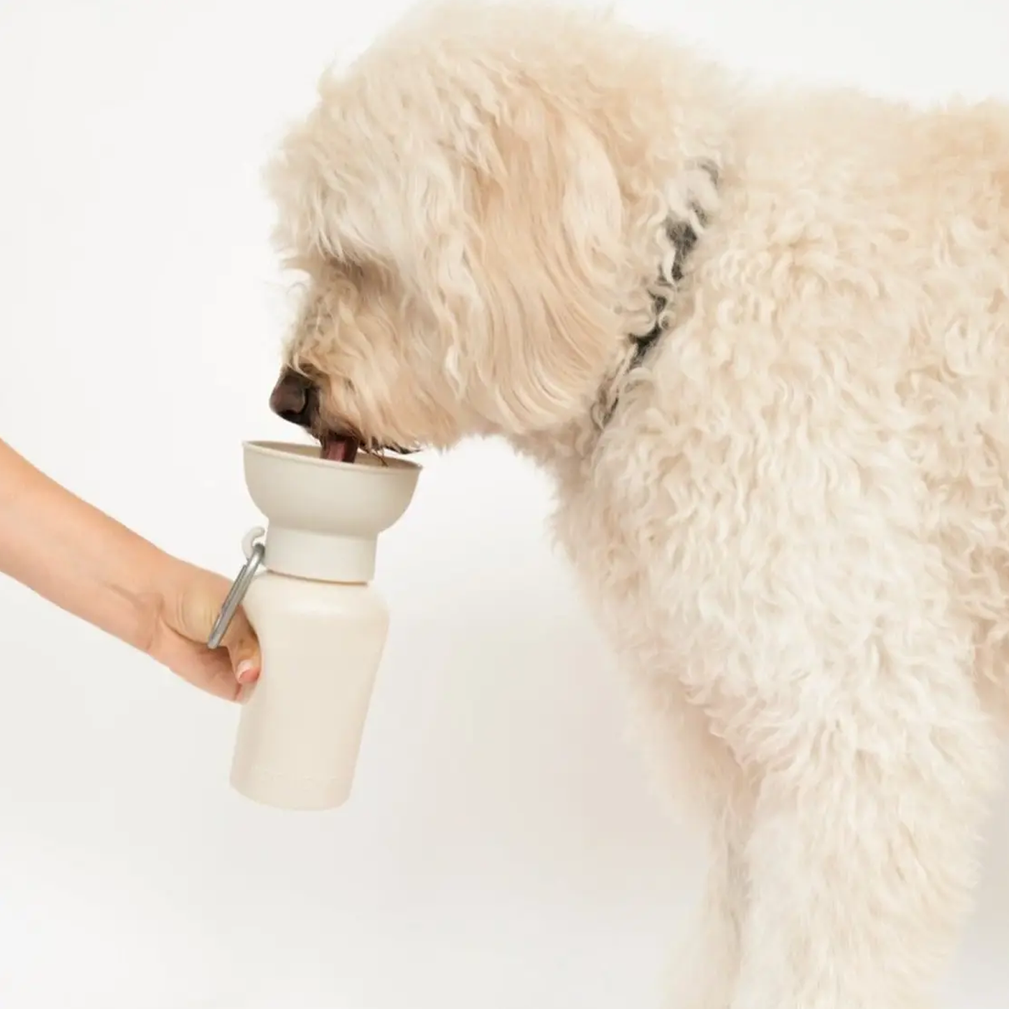 Dog Travel Water Bottle, 20oz, Flip Silicone