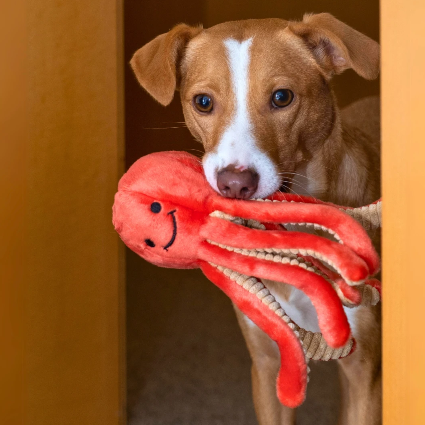 Fluff and Tuff Squirt Octopus
