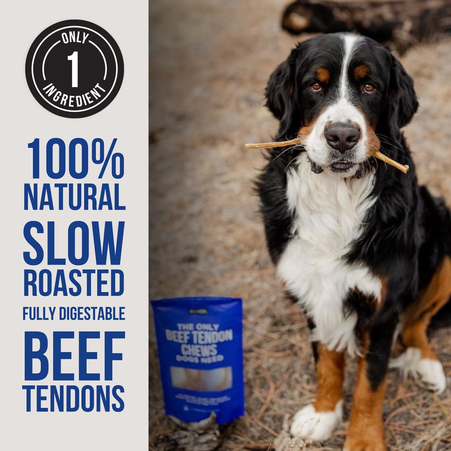 Only Beef Tendon Chews Dogs Need