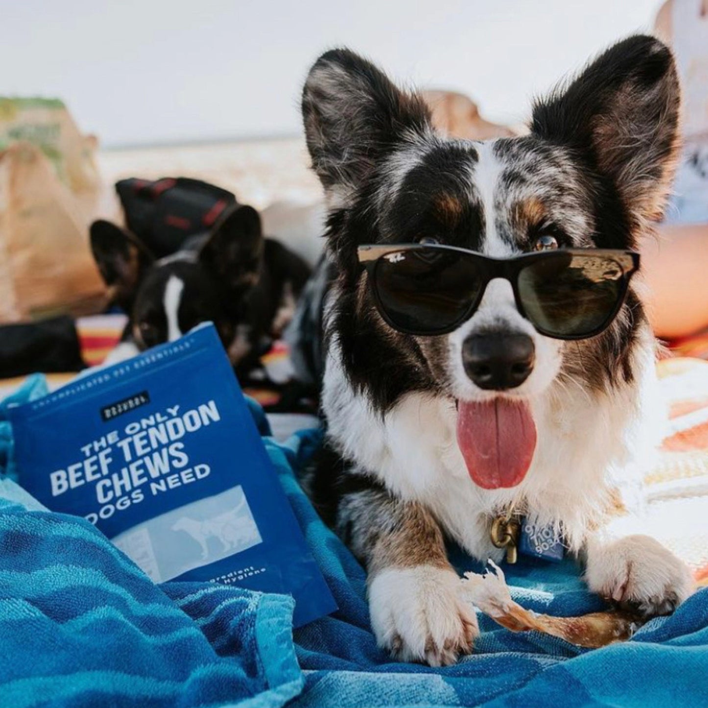 Only Beef Tendon Chews Dogs Need