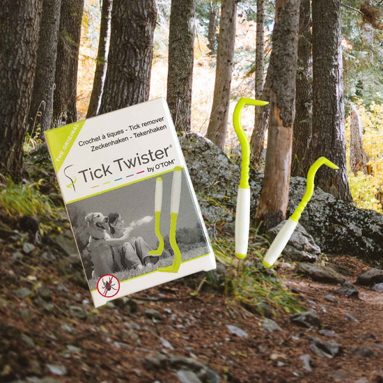 Tick twister tick remover picks for dogs and people shown on a forest background.