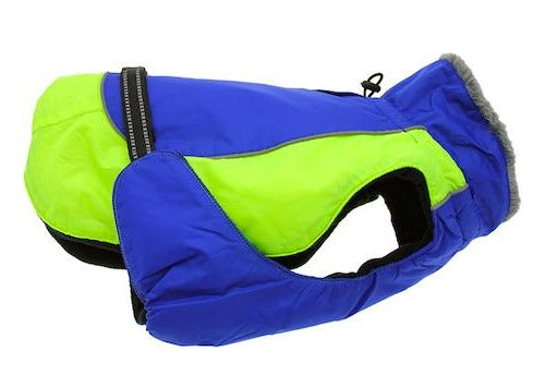 Alpine All Weather Dog Coat in Cobalt Blue and Green
