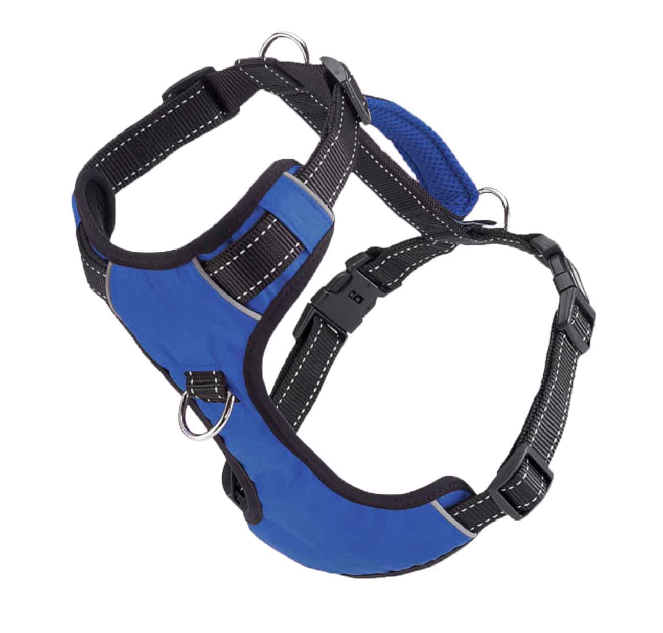 Chesapeake bay dog harness in blue