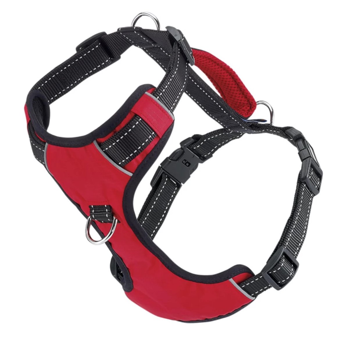 Chesapeake bay dog harness in red