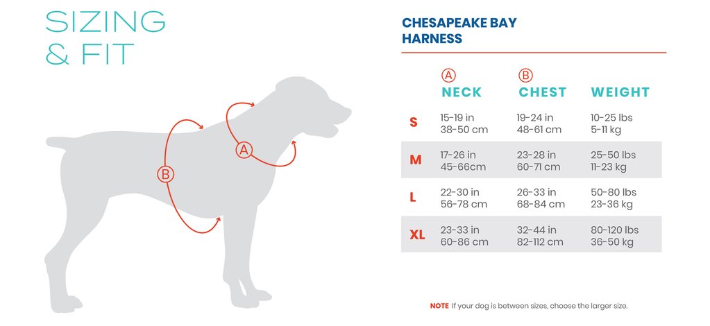 sizing chart for chesapeake bay dog harness