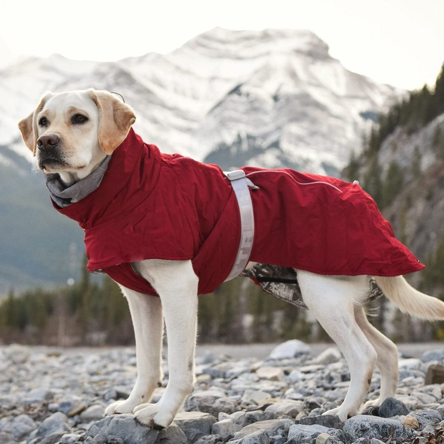 Extreme Warmer 2 ECO Dog Coat