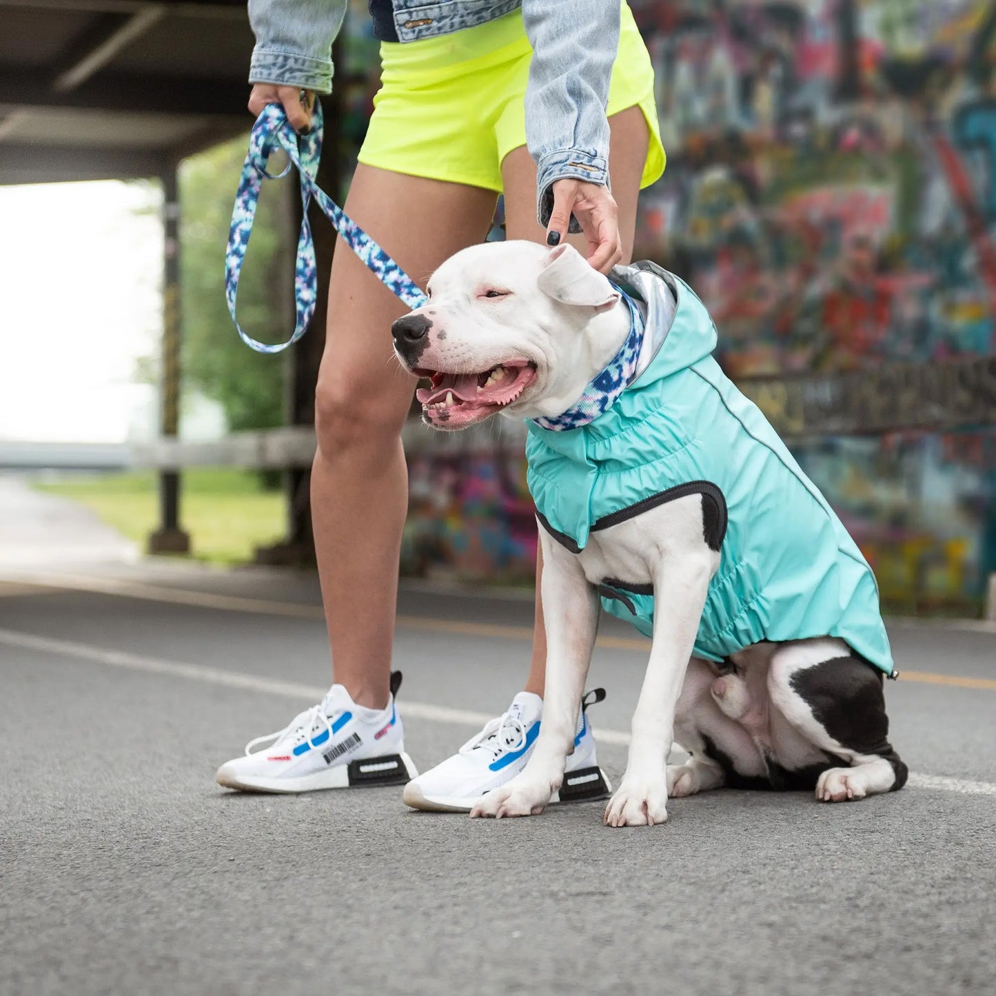 Reversible Raincoat for Dogs