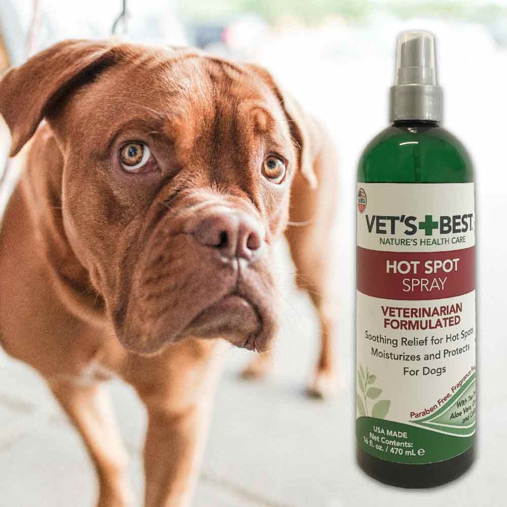 Hot Spot Spray for Dogs from Vet's Best, 16 oz.