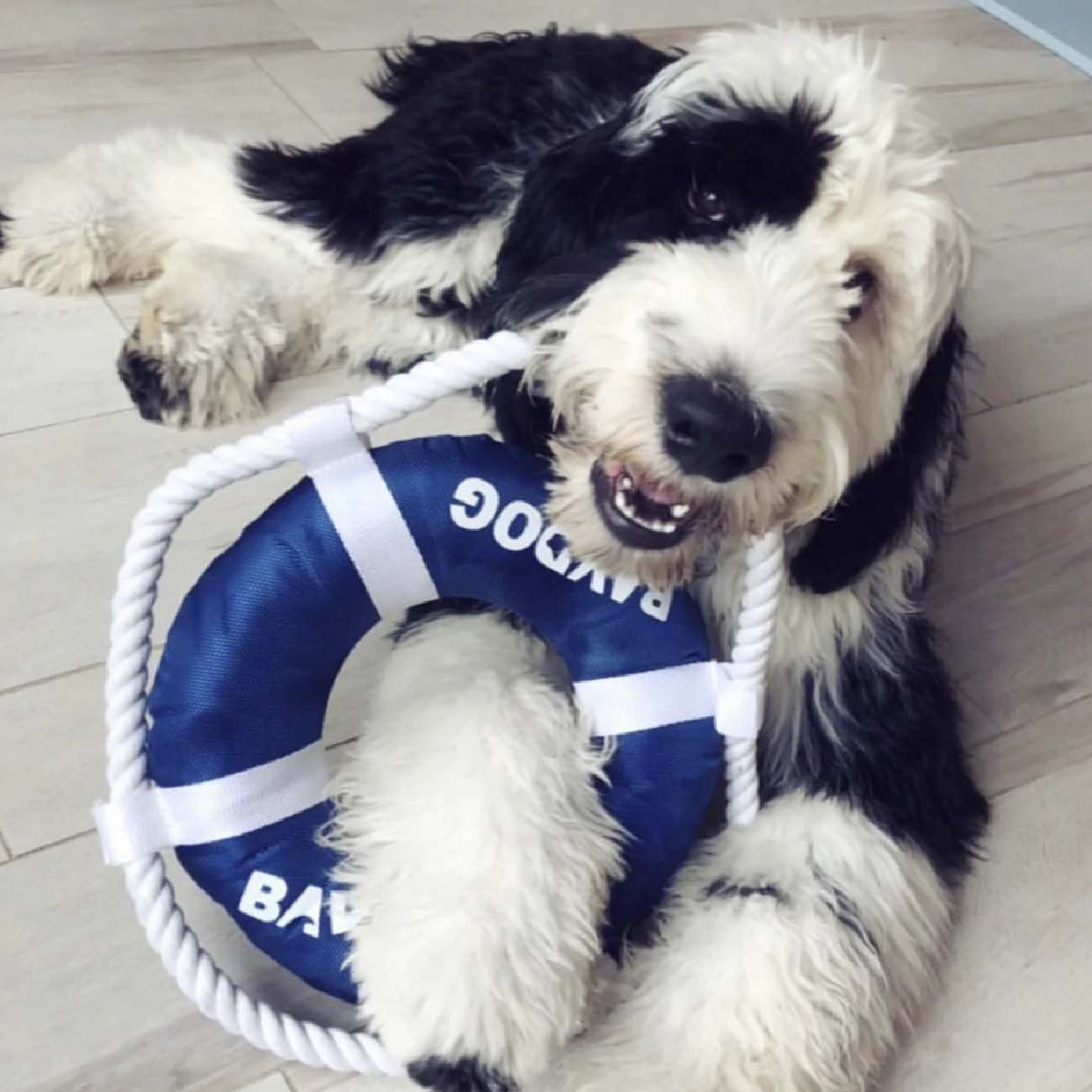 Fetch Ring BAYDOG Fetch Ring – Hiking Dog Co.