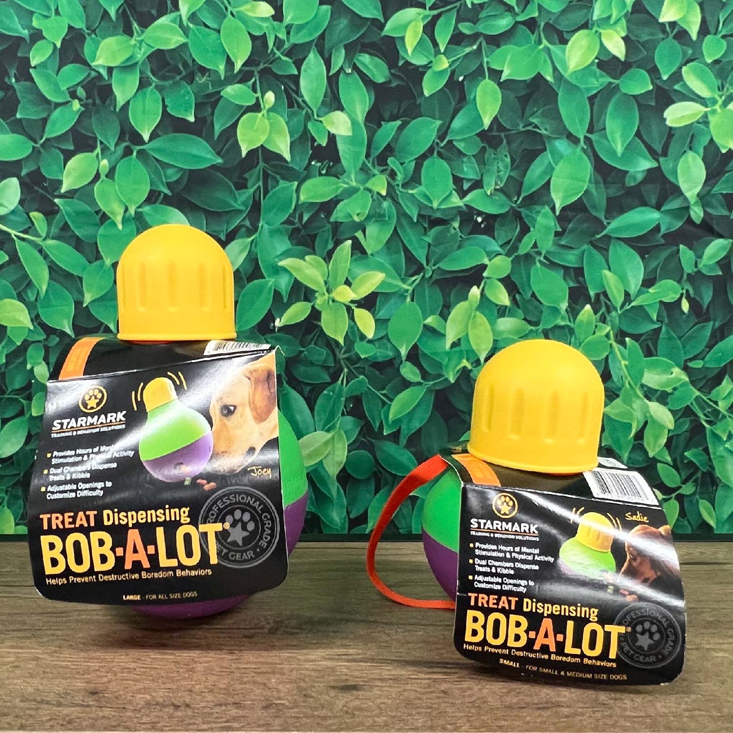 Bob-A-Lot Treat Dispenser Review (+ How To Use It)