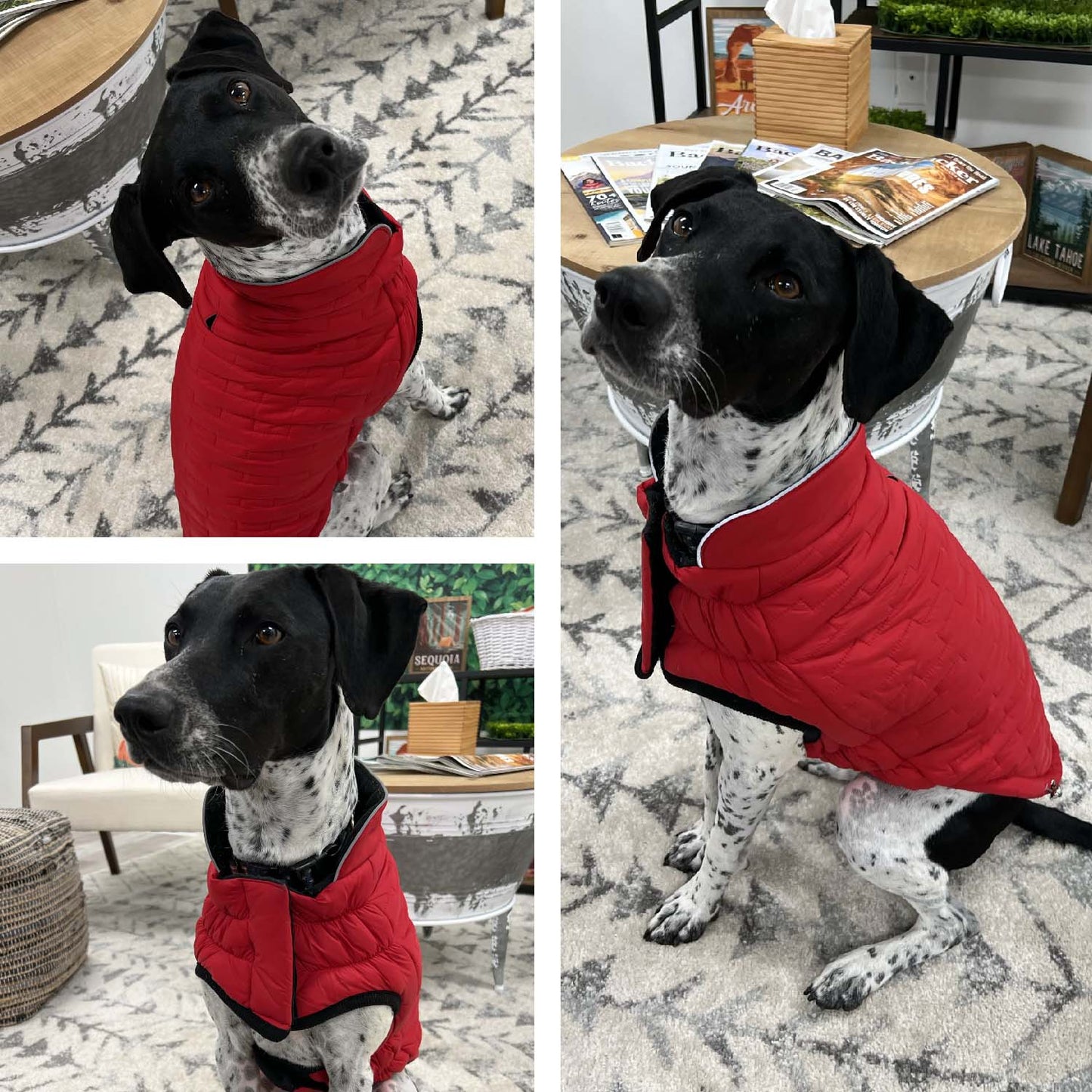 Reversible Chalet Dog Coat