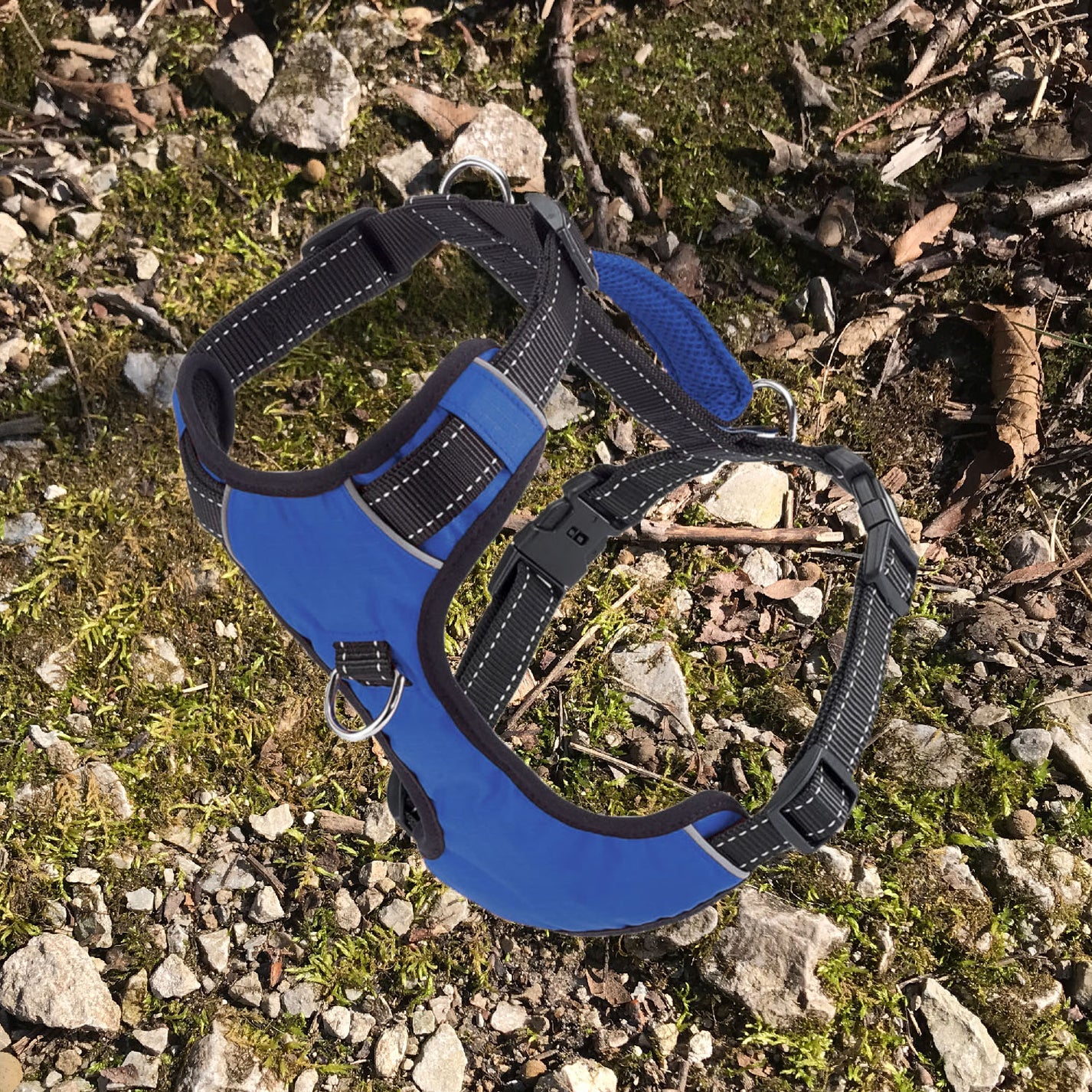 Chesapeake Harness by BAYDOG Hiking Dog Co.