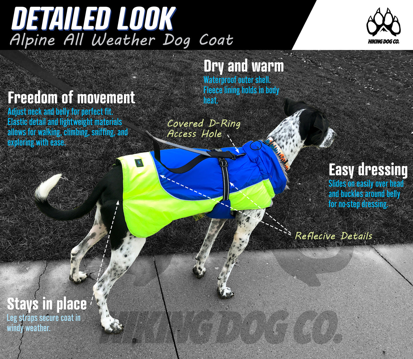 Detailed look at the Alpine All Weather Dog Coat. 