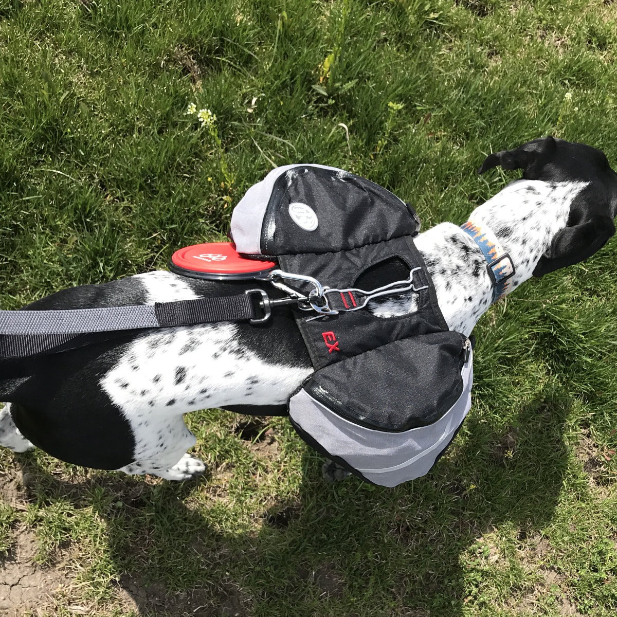 top view photo of dog wearing doggles extreme backpack