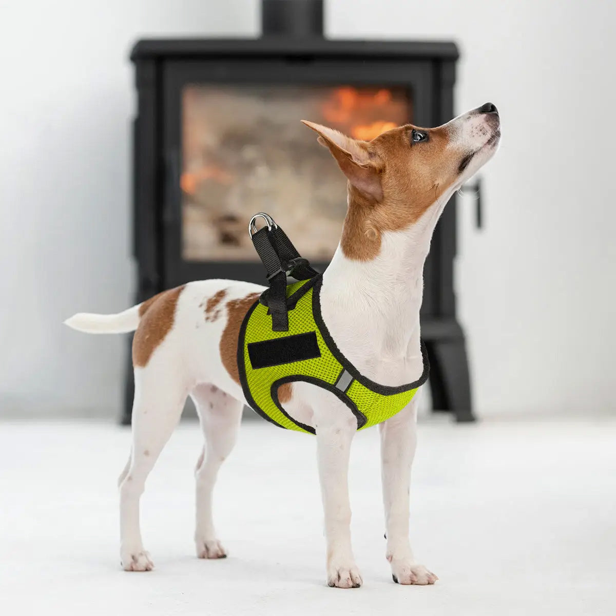 York Mesh Harness + Badge Fastener by Dogline