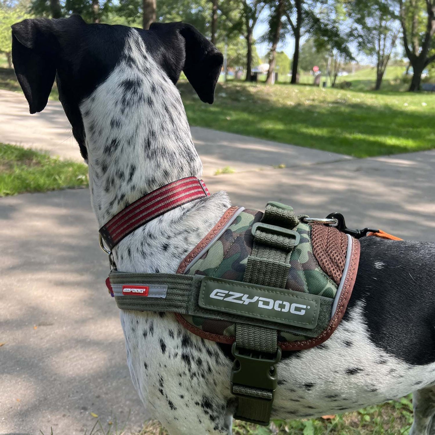 Convert Harness for Dogs