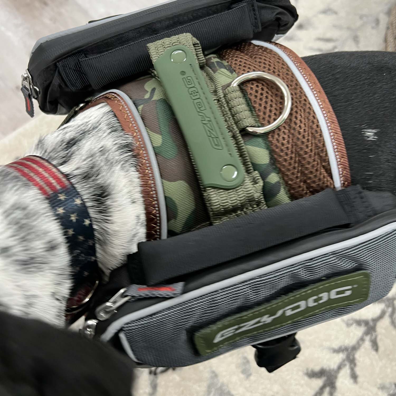 Dog 2024 saddle bags