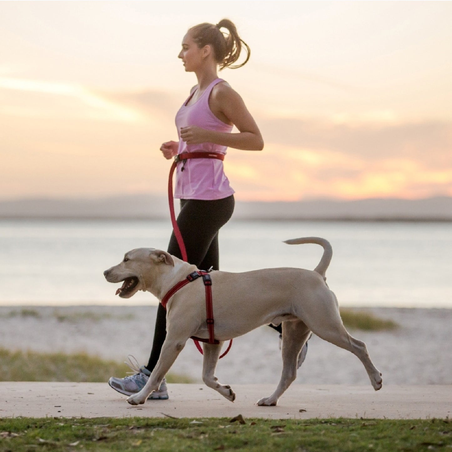 Road Runner Dog Leash by EzyDog