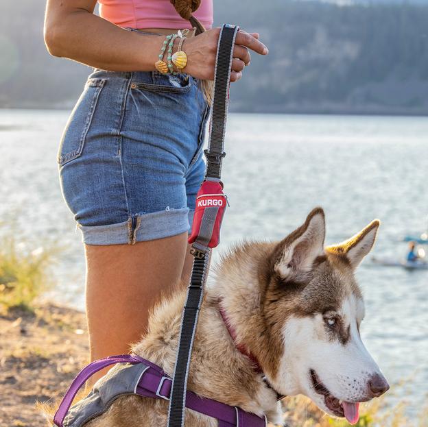 Kurgo Duty Bag Dog Poo Bag Dispenser in use at the lake