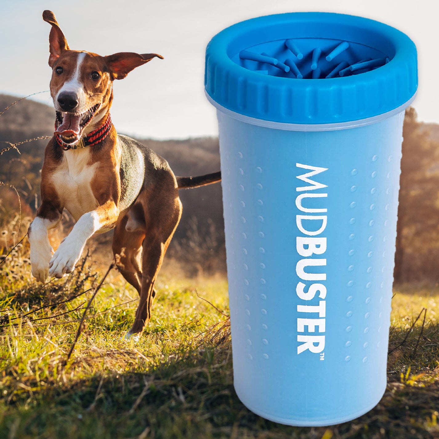 Mudbuster Dog Paw Cleaner Hiking Dog Co.