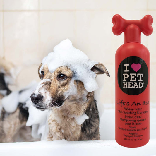 Dog taking a bath, with suds on head and body. Skin soothing dog shampoo is shown in the foreground. Pet head Life's and Itch watermelon shampoo in red bottle.