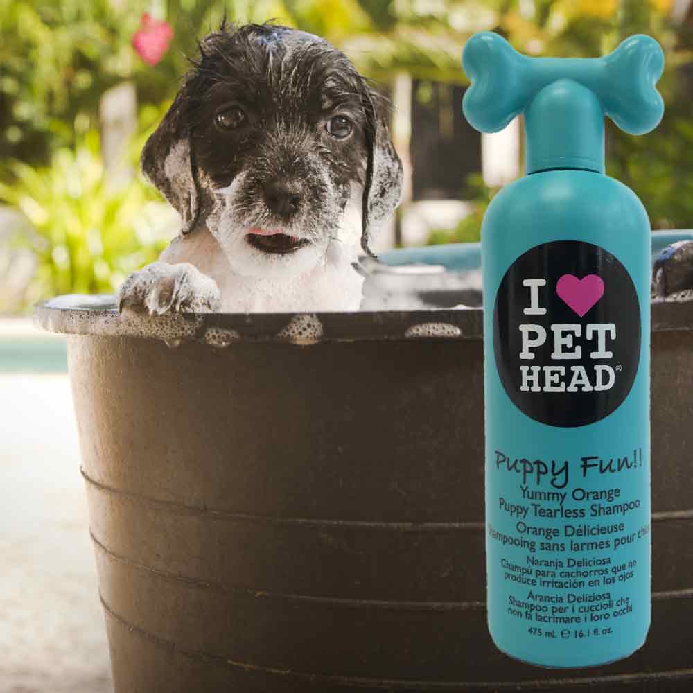 Puppy Fun Tearless Shampoo by Pet Head Hiking Dog Co.