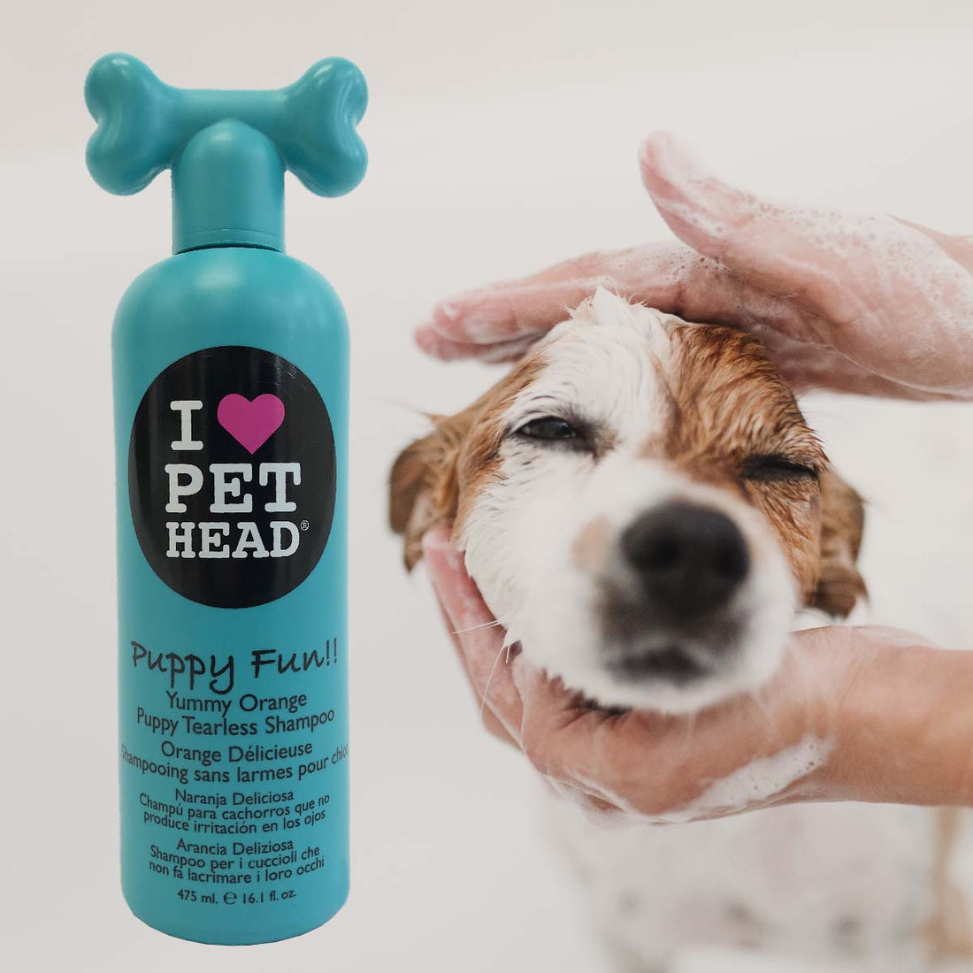Puppy Fun Tearless Shampoo by Pet Head Hiking Dog Co.