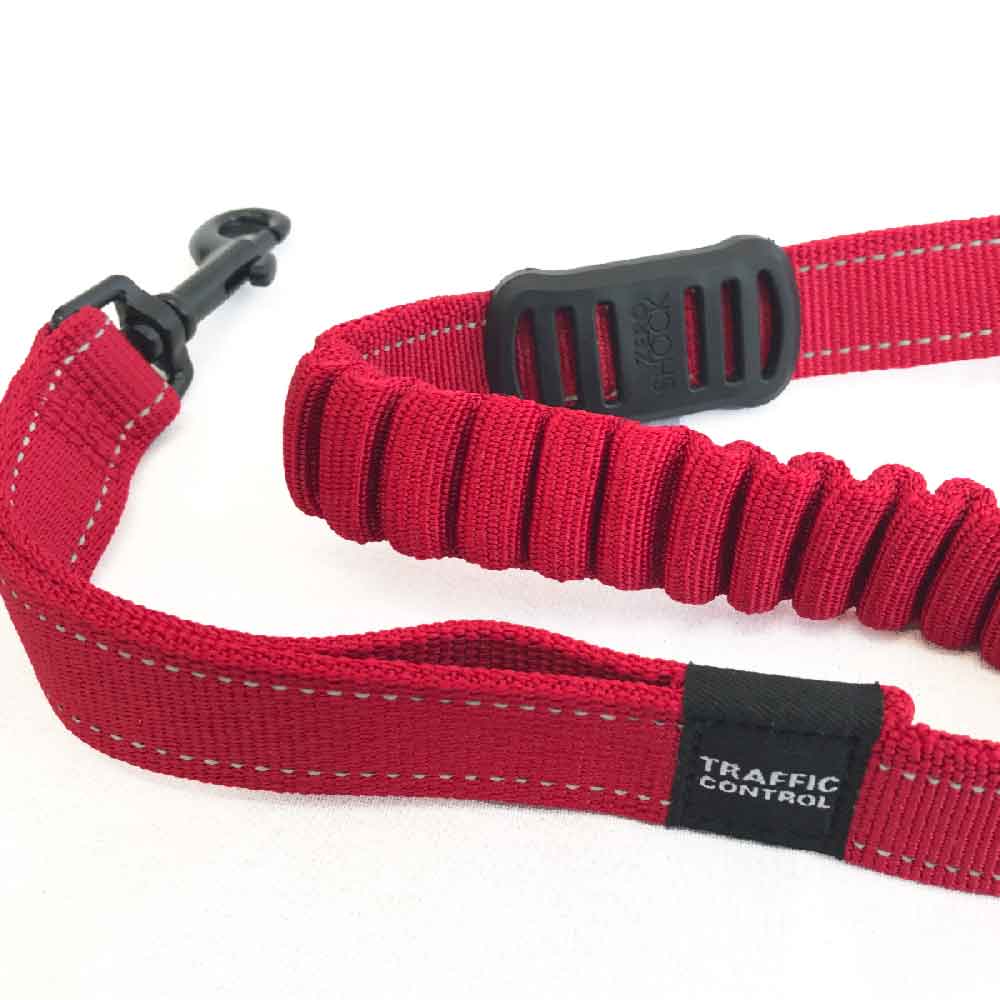 Road Runner Dog Leash by EzyDog