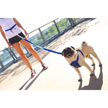 Road Runner Dog Leash by EzyDog