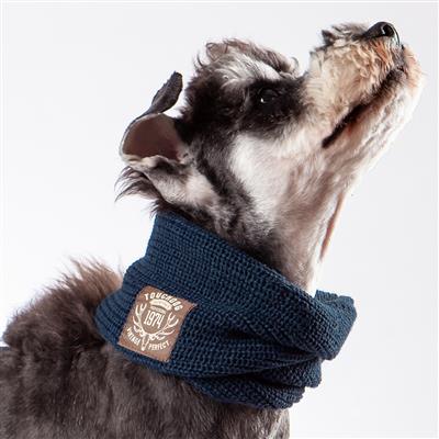 Touchdog Dog Harness & Leash Set