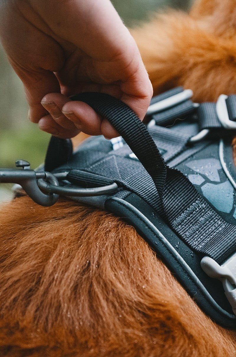 Weekend Warrior Harness